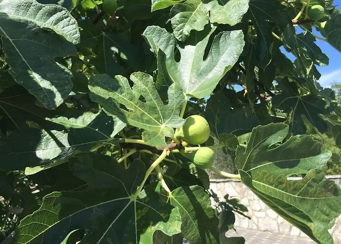 Amazing Mediterranean View Oliva