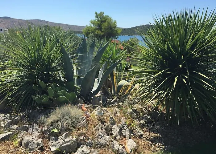 Amazing Mediterranean View Oliva וילה ז'אבוריץ'